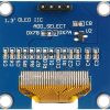 1.3 inch OLED